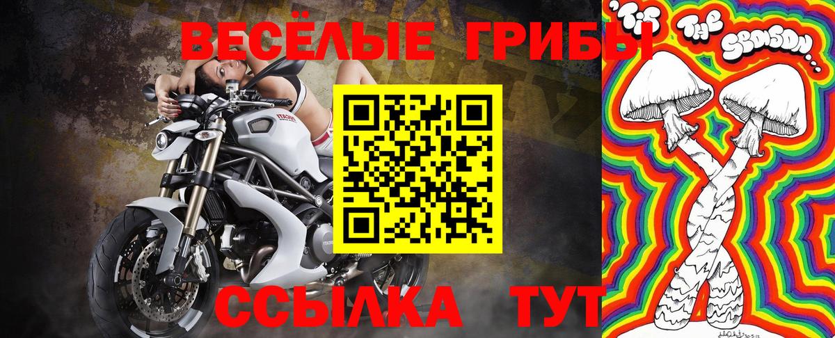Псилоцибиновые грибы Psilocybe  магазин продажи наркотиков  Елабуга  Галлюциногенные грибы MAGIC MUSHROOMS  Вход с VPN 