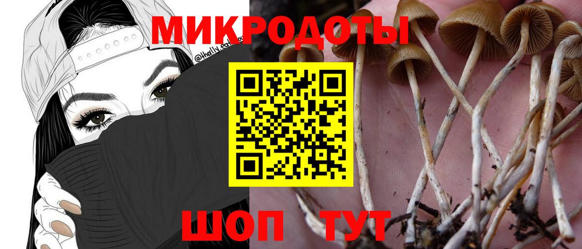 Галлюциногенные грибы MAGIC MUSHROOMS Елабуга